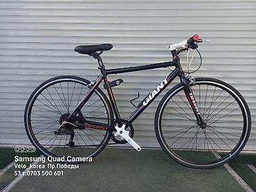 Шоссейные велосипеды: Шоссейный велосипед, Б/у — 24