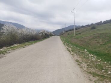 Qarajlar: 120 sot, Kənd təsərrüfatı, Kupça (Çıxarış)
