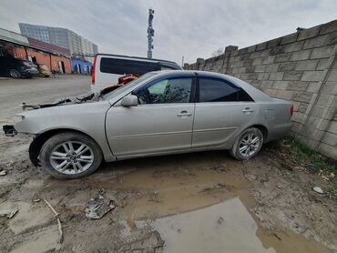 тайота кулер: Toyota Camry: 2004 г., 2.4 л, Автомат, Бензин, Седан