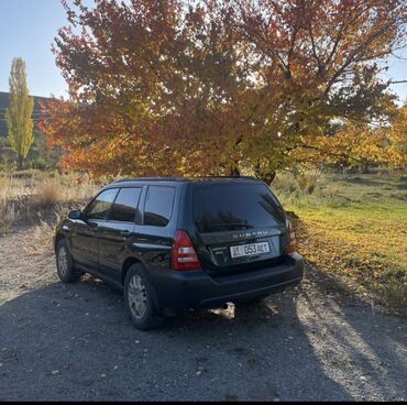 subaru legacy 4: Subaru Forester: 2004 г., 2.5 л, Автомат, Газ, Кроссовер