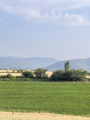 hovsanda torpaq satilir 2025: 7 sot, Tikinti, Mülkiyyətçi, Kupça (Çıxarış), Texniki pasport — 2