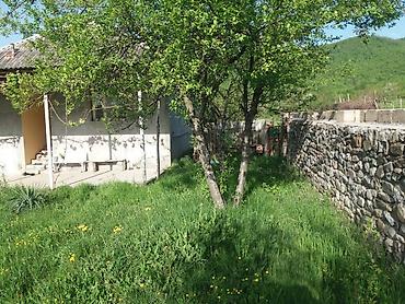 yeni yasamalda kiraye ev: Oğuz rayon Calut kəndində 3 otaqlı mənzil satılır istəyən əlaqə — 7