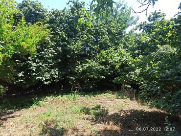 Bağ evlərinin satışı: Nabranda çox qözel menzerede hem denize yaxın hemde meşenin kenarında — 16