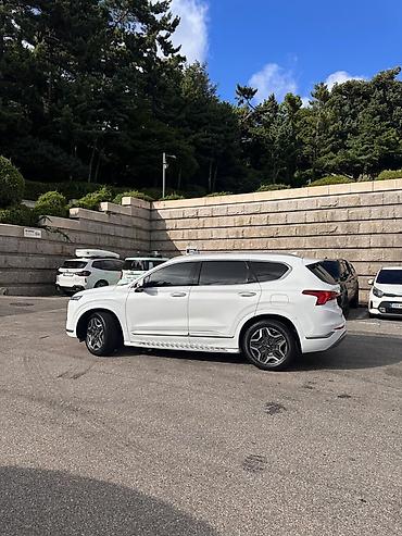 купить дверные ручки: Hyundai Santa Fe: 2021 г., 1.6 л, Гибрид, Кроссовер — 9