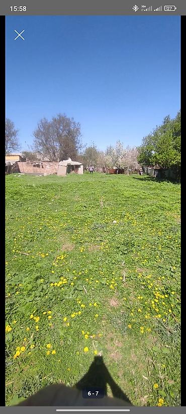 Продажа барачных домов: Продаю дом с участком 20соток, поделён на 2 участка пополам по 10 — 9