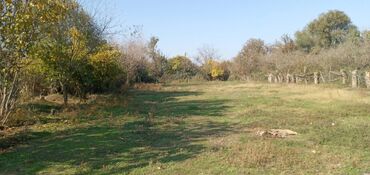 Daşınmaz əmlak: 18 sot, Tikinti, Mülkiyyətçi, Kupça (Çıxarış)