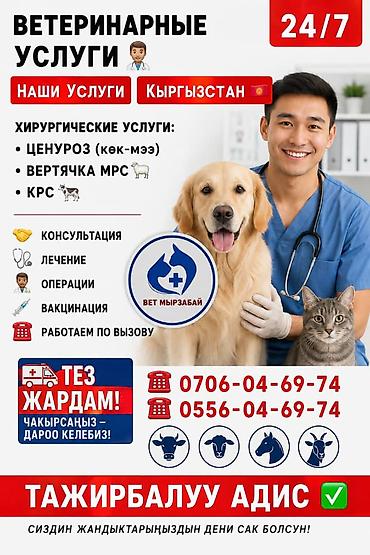 токмак: Другие услуги — 1