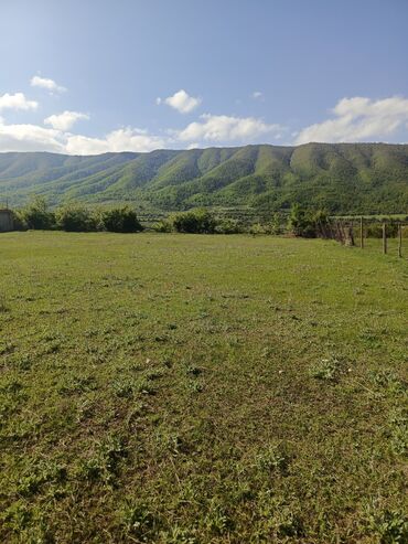 Torpaq sahələrinin satışı: 30 sot, Tikinti, Mülkiyyətçi, Kupça (Çıxarış) — 12