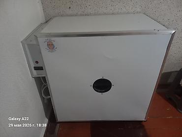 Kənd təssərüfatı avadanlığı: Satılır 550 yumurtalıq təzə dir heç işlənməyib — 1