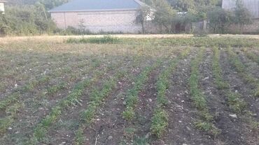 Həyət evləri və villaların satışı: 2 otaqlı, 75 kv. m, Kredit yoxdur, Orta təmir — 16