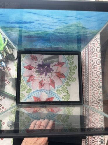 Akvariumlar: Akvaryum dəsti 1 akvaryum tezedi qalan herwey iwlenmiwdi ekseryeti az — 2