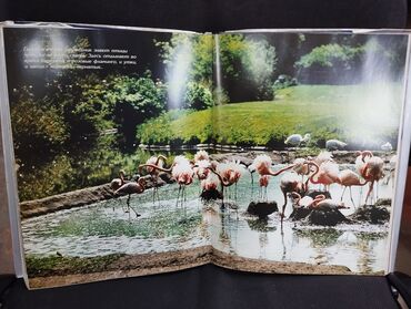 Digər kitablar və jurnallar: *2005* çi il. "" Азербайджан Мой щедрый край"". Tiraj 2000 ədəd. Böyük — 10