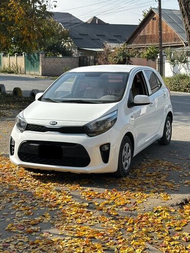 машины дешево: Kia Morning: 2019 г., Бензин, Хэтчбэк