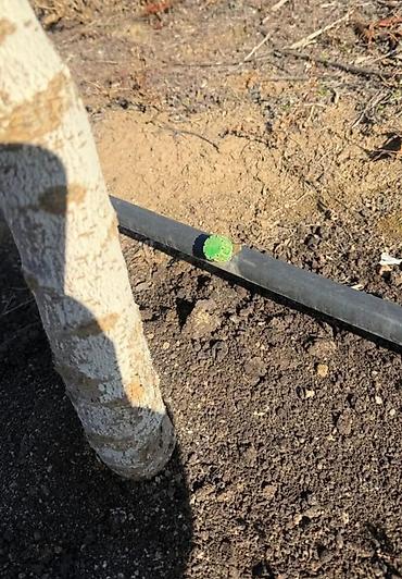 Продажа участков: 80 соток, Для сельского хозяйства — 8