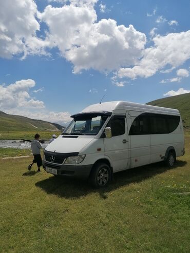 Mercedes-Benz: Mercedes-Benz Sprinter: 2008 г., 2.7 л, Механика, Дизель, Бус