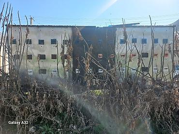 Прицепы и полуприцепы: Прицеп, Special trailer — 5