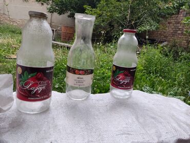 яйцо домашнее цена: Банки, Б/у, Самовывоз