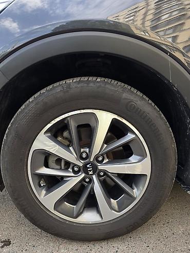 мазда слепая: Kia Sorento: 2019 г., Автомат, Кроссовер — 10