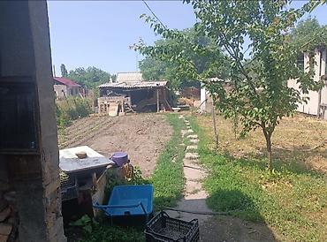 Продажа коттеджей и домов: Продаются Дом адрес Кара балта улица Фрунзенская цена 6600.000 участок — 11