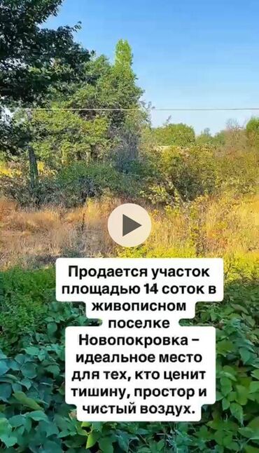 ак ордо жер уй: 14 соток, Бизнес үчүн, Кызыл китеп, Техпаспорт