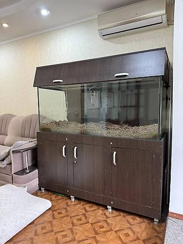 Аквариумы: Аквариумный комплект с тумбой и крышкой, только самовывоз. 
объем 500л — 2