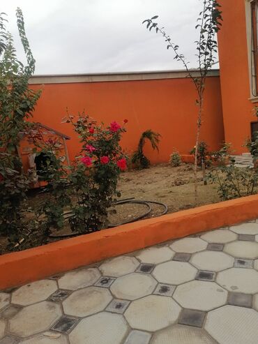 Həyət evləri və villaların satışı: Satılır: həyət evi - Ümumi təsvir: Tək mərtəbəli, eyvanlı həyət evi — 17