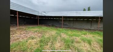 Продажа участков: 140 соток, Для сельского хозяйства, Красная книга — 8