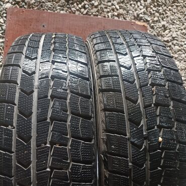 купить зимние шины на 14 бу: Шины 185 / 60 / R 15, Зима, Пара, Легковые, Dunlop