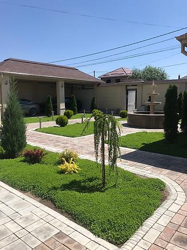 Другие стройуслуги: Сеем газон!☘️☘️ Посев газона🍀🍀 Косим газон🌱🌱 Травим — 2