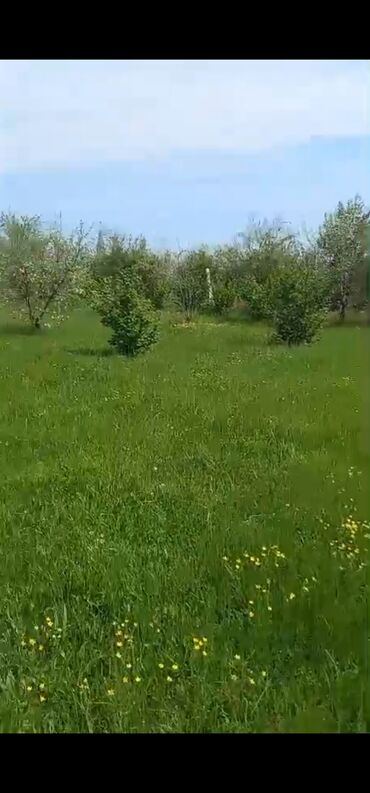 Torpaq sahələrinin satışı: 8 sot, Kənd təsərrüfatı, Mülkiyyətçi, Bələdiyyə -da lalafo.az — 12 Torpaq sahələrinin satışı: 8 sot, Kənd təsərrüfatı, Mülkiyyətçi, Bələdiyyə — 12