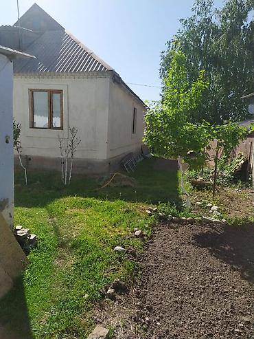 жаны уйлор: 🏡 ПРОДАЁТСЯ УЧАСТОК С ДОМОМ В С. БАЙТИК 🔥 ✨ Просторный участок с жилым — 5