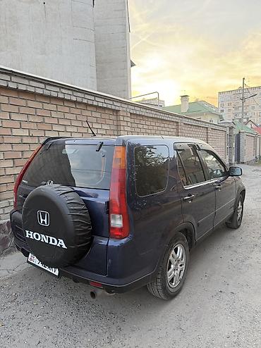 шторка на срв: Honda CR-V: 2002 г., 2 л, Автомат, Газ, Кроссовер — 4