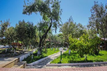 Kommersiya daşınmaz əmlakının satışı: Dəniz kənarında dəniz mənzərəli, çimərliyi olan restoran satılır -da lalafo.az — 11 Kommersiya daşınmaz əmlakının satışı: Dəniz kənarında dəniz mənzərəli, çimərliyi olan restoran satılır — 11