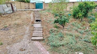 kürdexanı kiraye evler: 4 sot, Tikinti, Barter mümkündür — 4