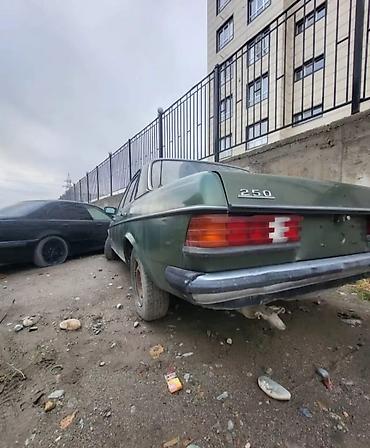 Mercedes-Benz: Mercedes-Benz W123: 1979 г. — 3