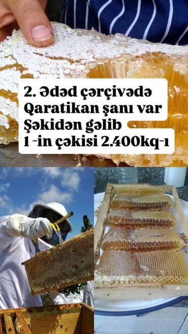 Кондитерские изделия, сладости: Şəkidən gətirilmiş, çərçivədə təbii qaratikan balı. Hər çərçivənin