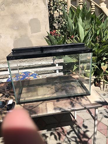 akvarium baki: Akvarium satılır 90 lt dir tutumu. Havalandırma sistemi şlank — 7