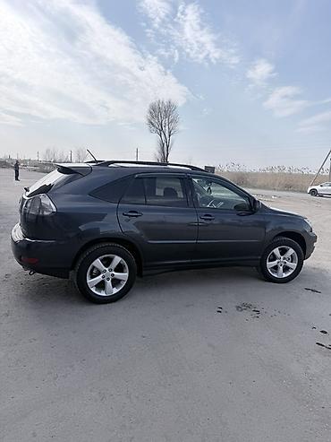Lexus: Lexus RX: 2004 г., Кроссовер — 8