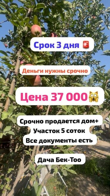 продаю дом село нижний орок: Дача, 48 м², 3 комнаты, Собственник, Косметический ремонт