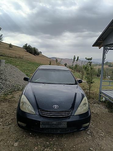 аренда toyota windom: Toyota Windom: 2002 г., 3 л, Автомат, Бензин, Седан — 6