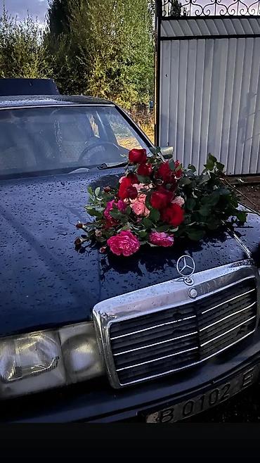 Mercedes-Benz W124: 1991 г., 2.3 л, Механика, Бензин, Седан at lalafo.kg Mercedes-Benz W124: 1991 г., 2.3 л, Механика, Бензин, Седан