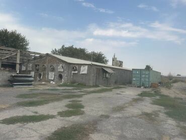 дома из контейнеров цена: Продаю Птицеферма, 115 соток, Действующий, С оборудованием, Электричество, Канализация, Скважина