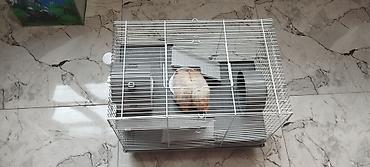 kompresor akvarium: Hamster üçün tam dəst qəfəs - Uç mərtəbəli metal barmaqlıqlı qəfəs — 7