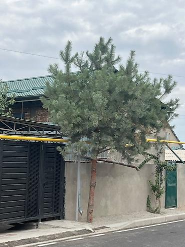 🏠 ПРОДАЁТСЯ ДОМ ПОД БИЗНЕС! 📍 50 м от Южной Магистрали 📐 Участок — 3