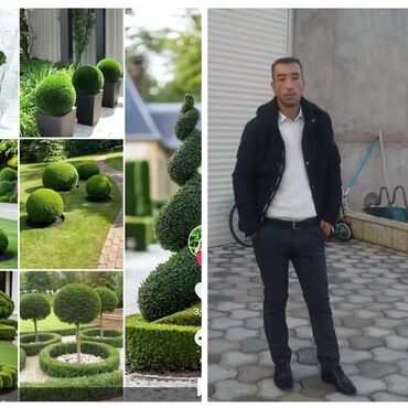 Landşaft işləri: : bağban axran işləri görürəm bütün növ ağcların gülərin əkilməsi — 11