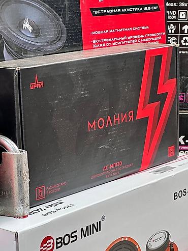 Автомобильная широкополосная эстрадная акустика УРАЛ «Молния»