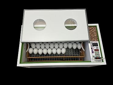 Товары и оборудование для с/х животных: Российский инкубаторлор: Норма луппер 72. Норма парка 120. Норма — 8