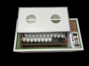 Другая бытовая техника: Блиц Норма инкубаторлордун баардык түрү бар. Норма луппер 72 Норма — 5