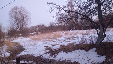 Другие товары для дома и сада: Уй сатылат Ысыколдо Григорефка айылында улуш жери менен сатылат уйдун — 6