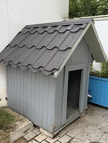 tap. az itler: İt yuvasi ölçüsü boyukdu iki qatli taxtayla tikilib taxtaların arasi — 5